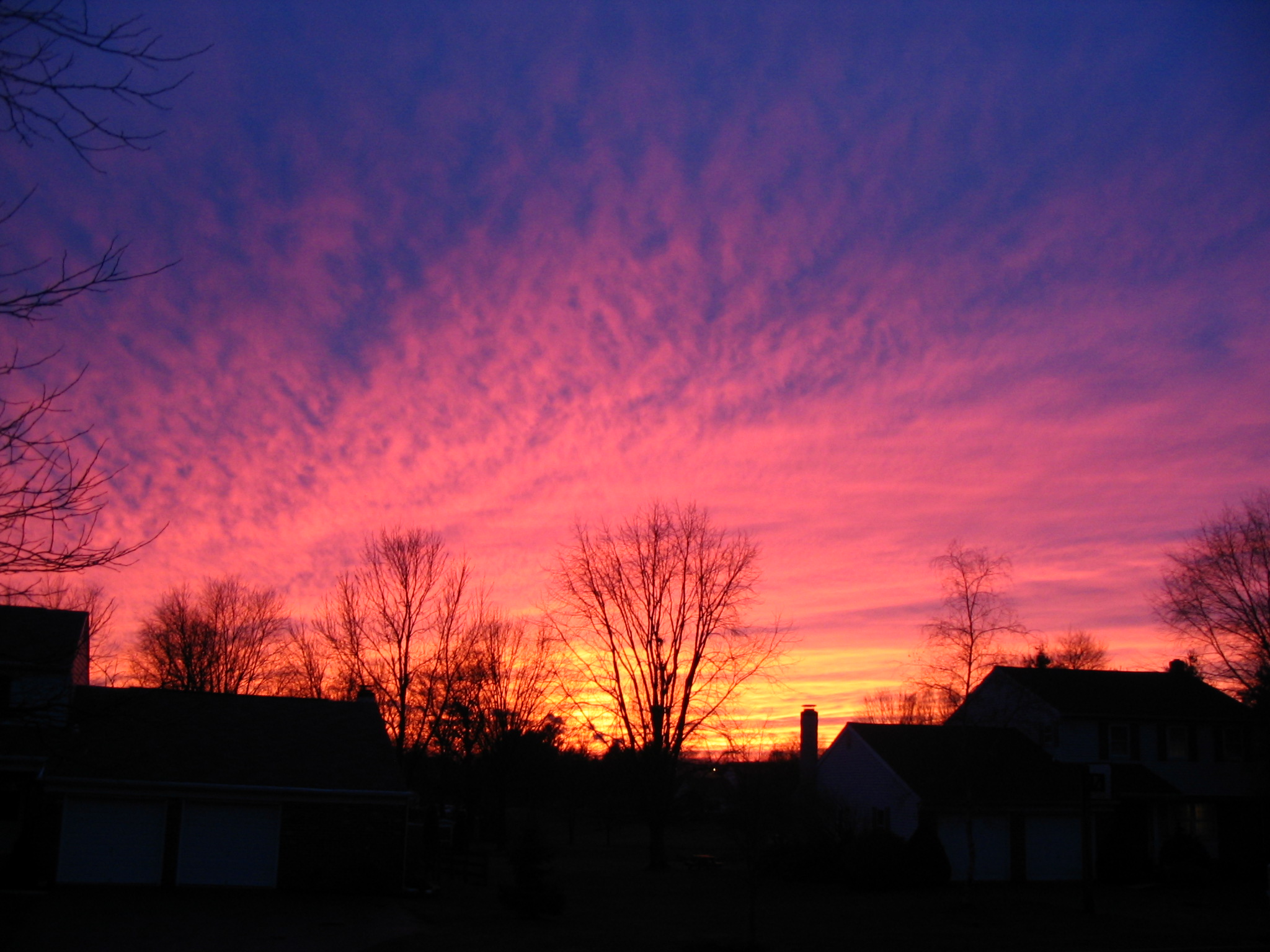A dramatic sunrise or sunset with vibrant orange, pink, and purple hues illuminating the sky over silhouetted bare tree branches and building rooflines.