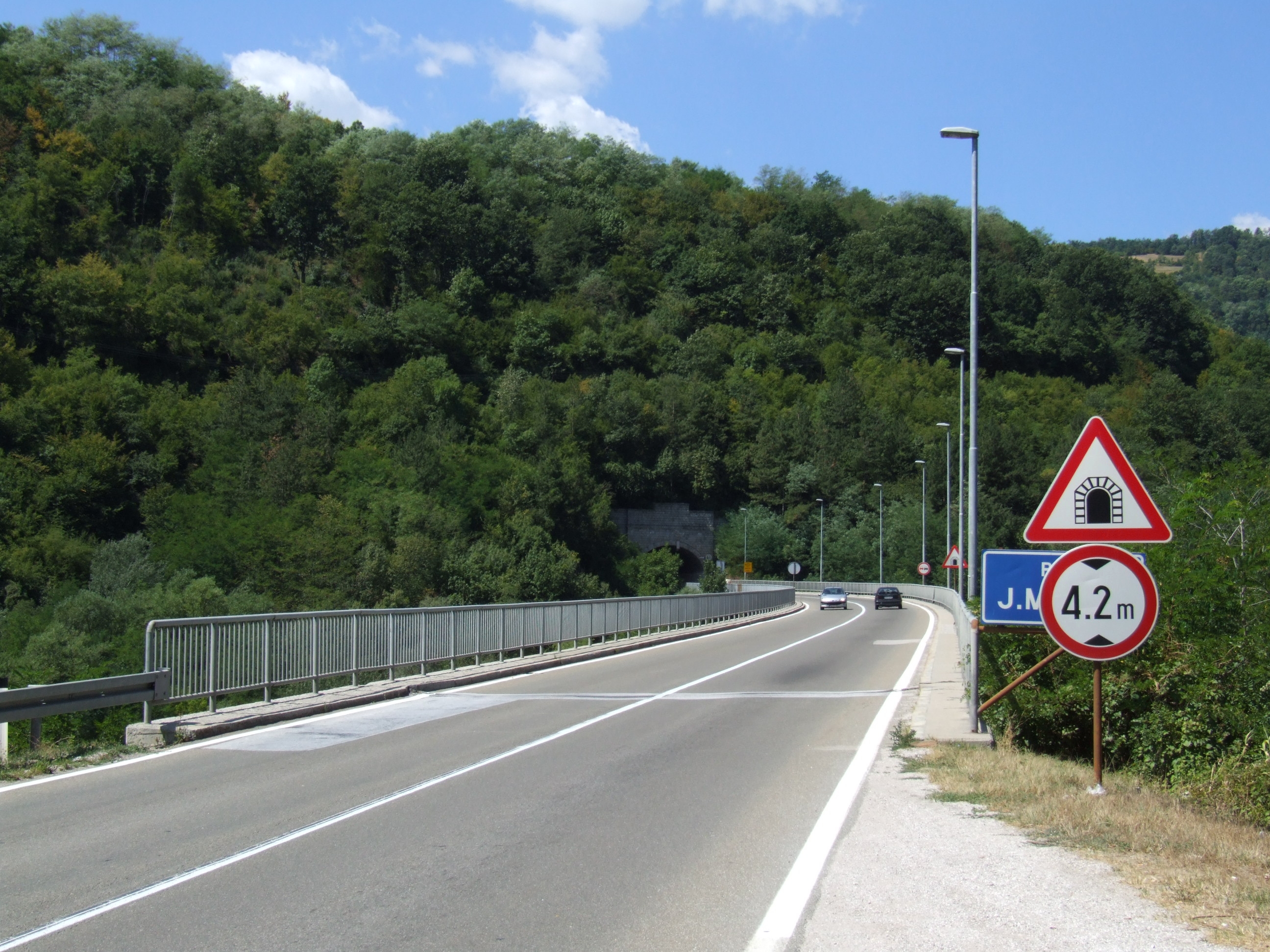 A modern highway bridge spans across a densely forested valley, with warning signs indicating a tunnel ahead and a 4.2-meter height clearance limit.
