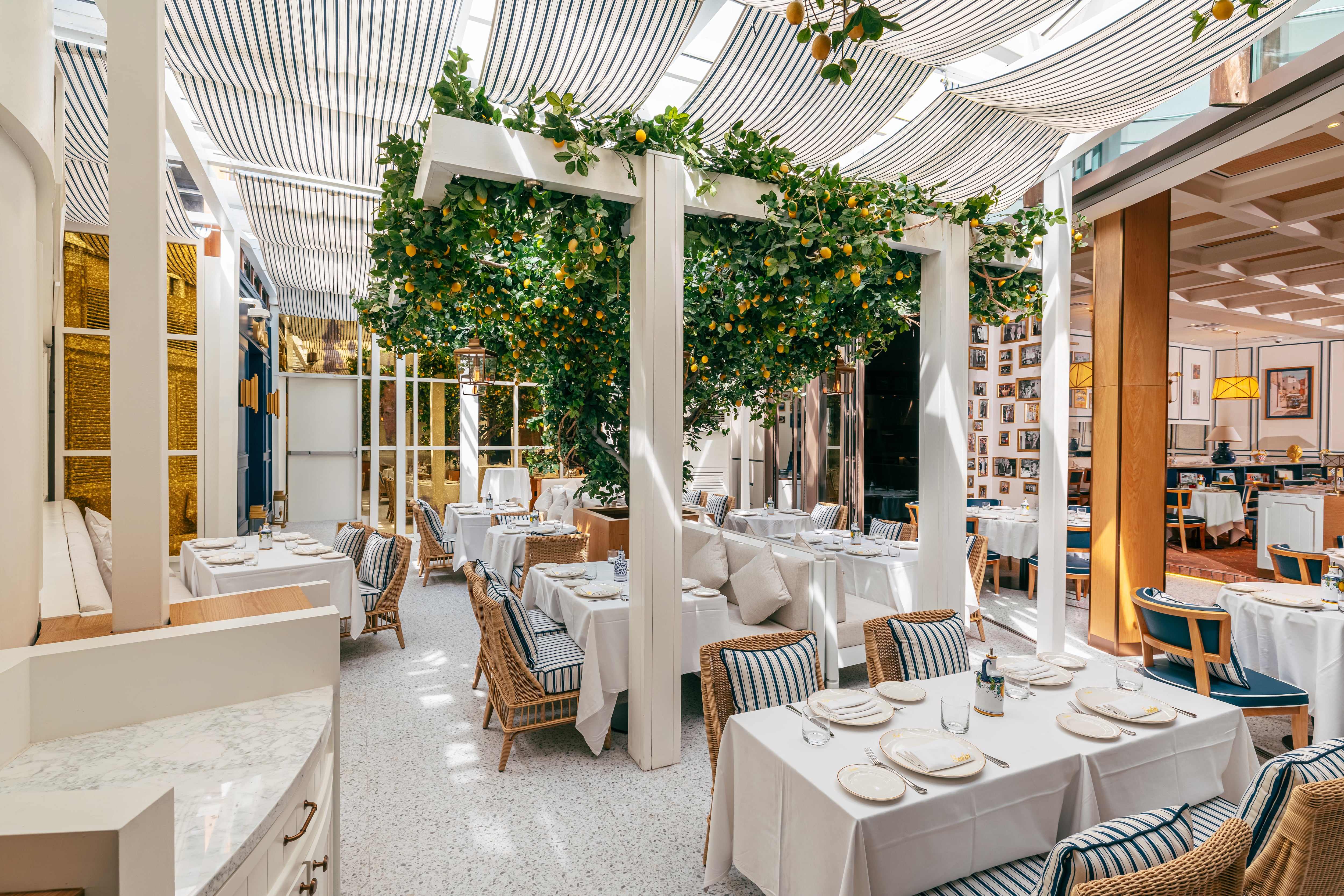 An elegant dining room with white tablecloths, striped ceiling panels, white pillars, and lush green vines with yellow citrus fruits hanging overhead.